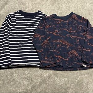 Navy Striped and Dinosaur Print Boys Shirts